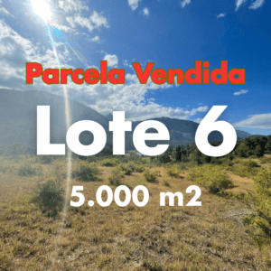 🔴 [VENDIDA] Parcela 6 – 5.000 m² cerca del Río Biobío