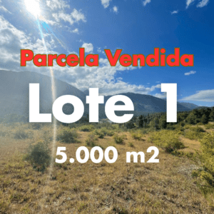 🔴 [VENDIDA] Parcela 1 – 5.000 m² cerca del Río Biobío