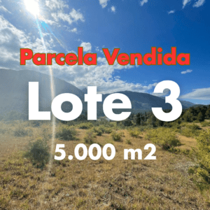 🔴 [VENDIDA] Parcela 3 – 5.000 m² cerca del Río Biobío